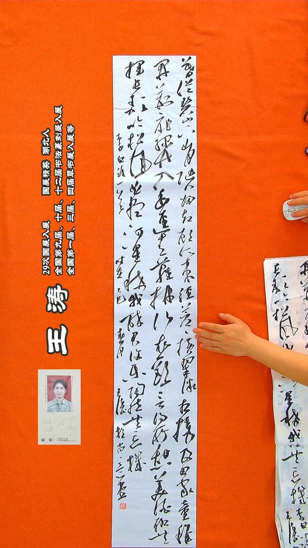 书法488R王涛书法作品