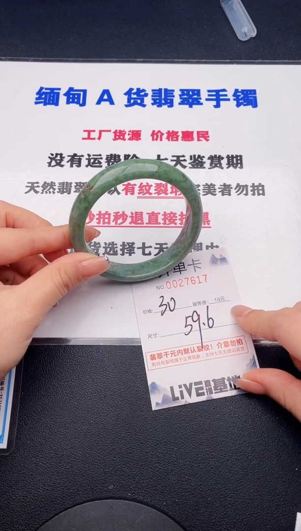 未镶嵌手镯翡翠17