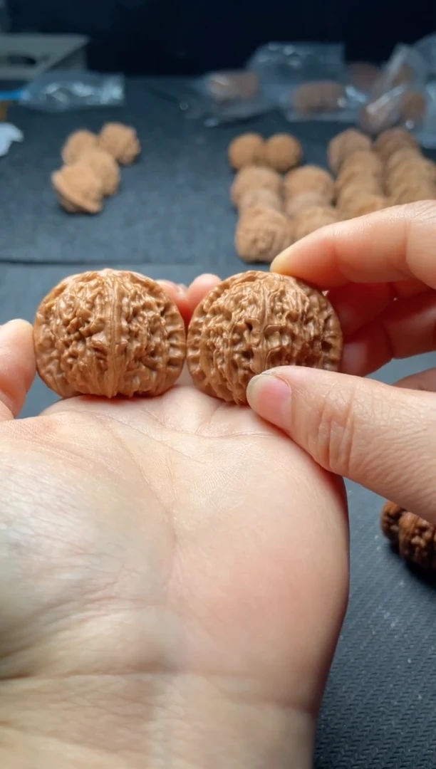 把件文玩核桃w235  白狮子 40尺