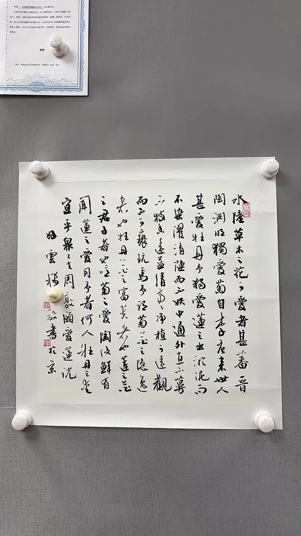 【闪购商品】书法雅艺典藏文化书法