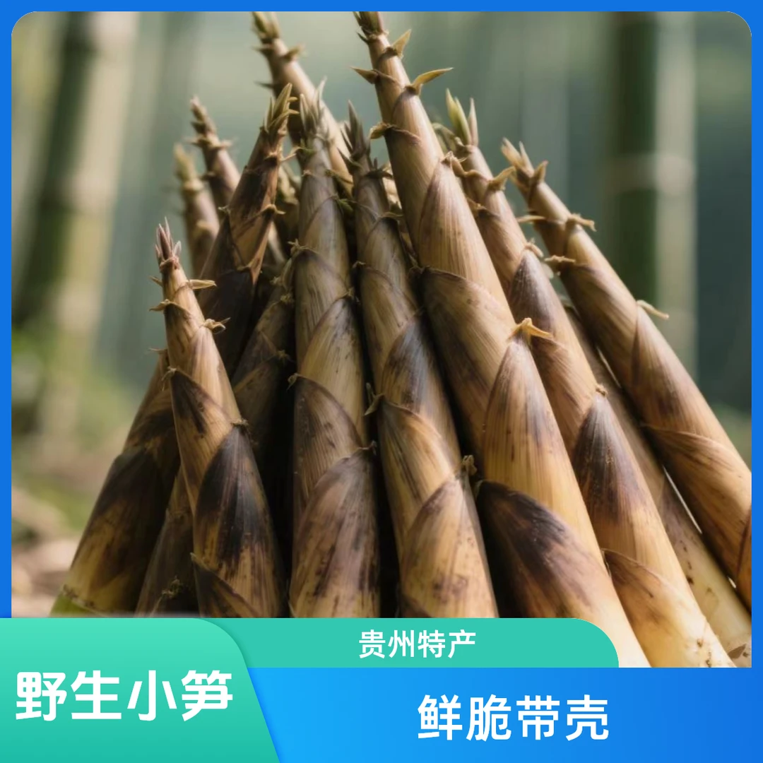 【精选大笋出肉率高】贵州高山小春笋甜脆笋带壳发货纯天然新鲜春笋