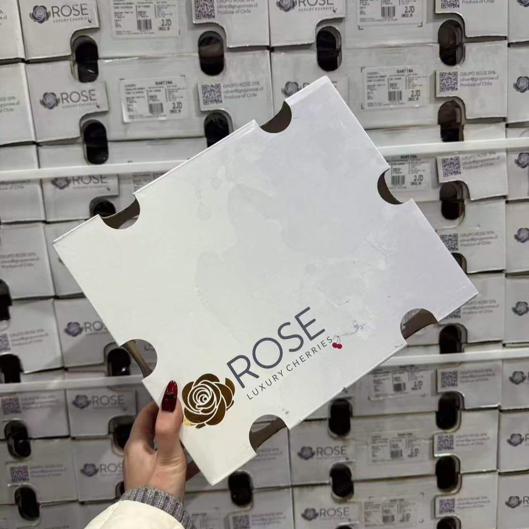 Z【曾乡音】轻奢金Rose白玫瑰 海运2J桑提娜车厘子 内附果径卡