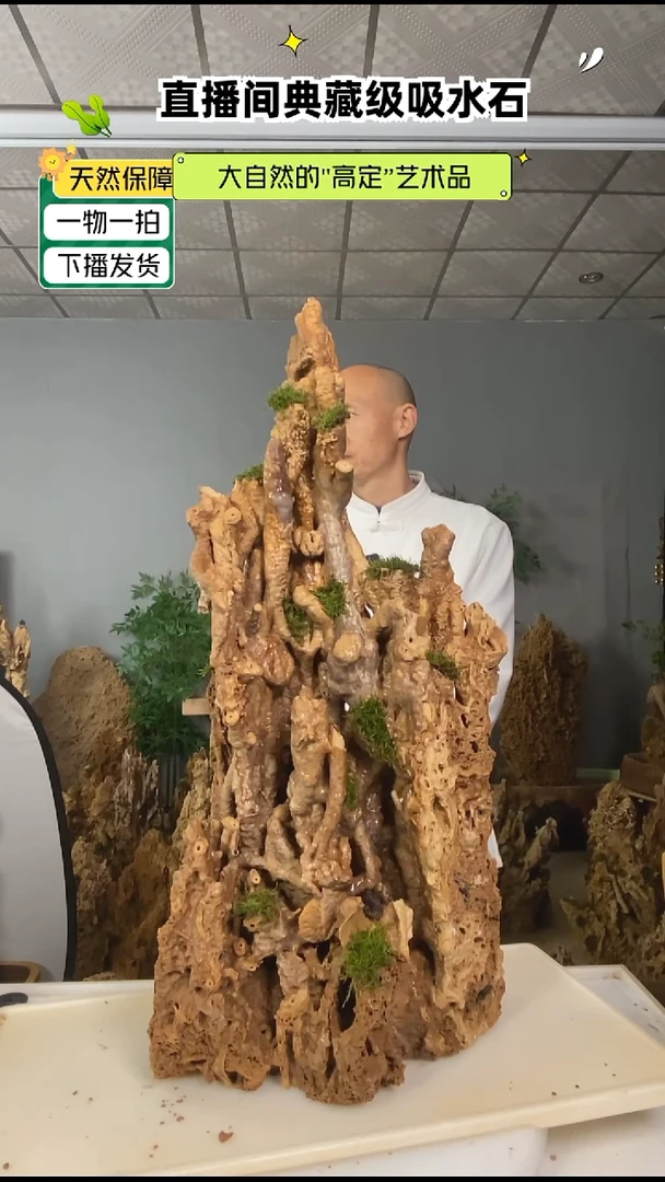 无花朵马*吸水石11111
