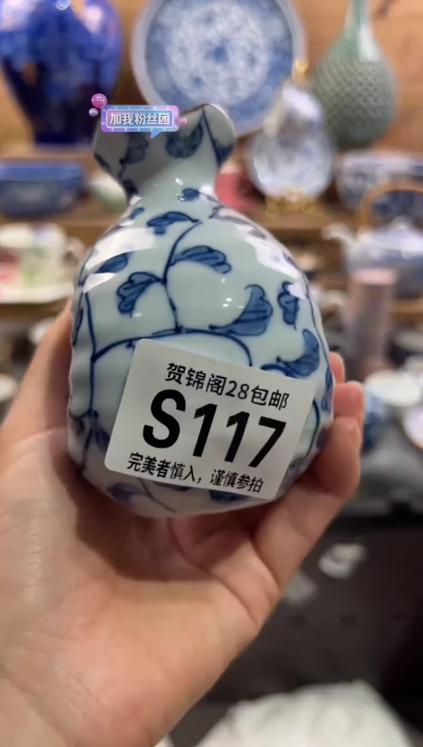 瓷片_****_       S117