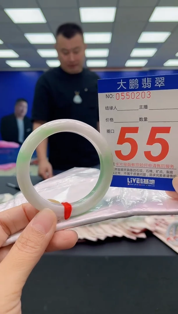 未镶嵌手镯翡翠AAAAAAAAA