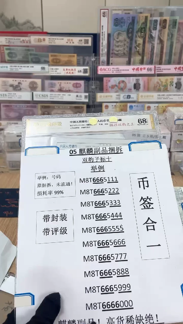 双豹子【捆拆双豹之王】