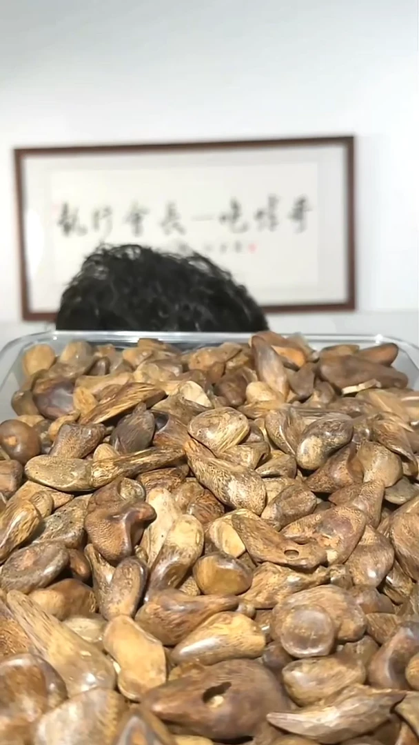 沉香吊坠b4号瘤疤舍利子多样性发一