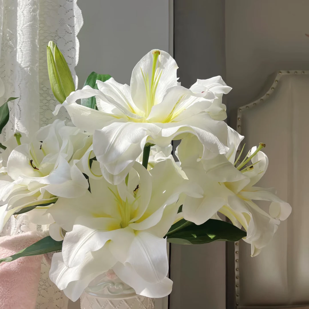 冰雪白色甜香香水百合产地直发顺丰包邮礼品装饰