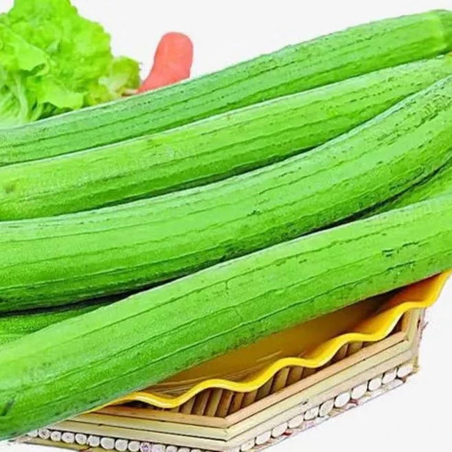 乡村农家自种新鲜丝瓜