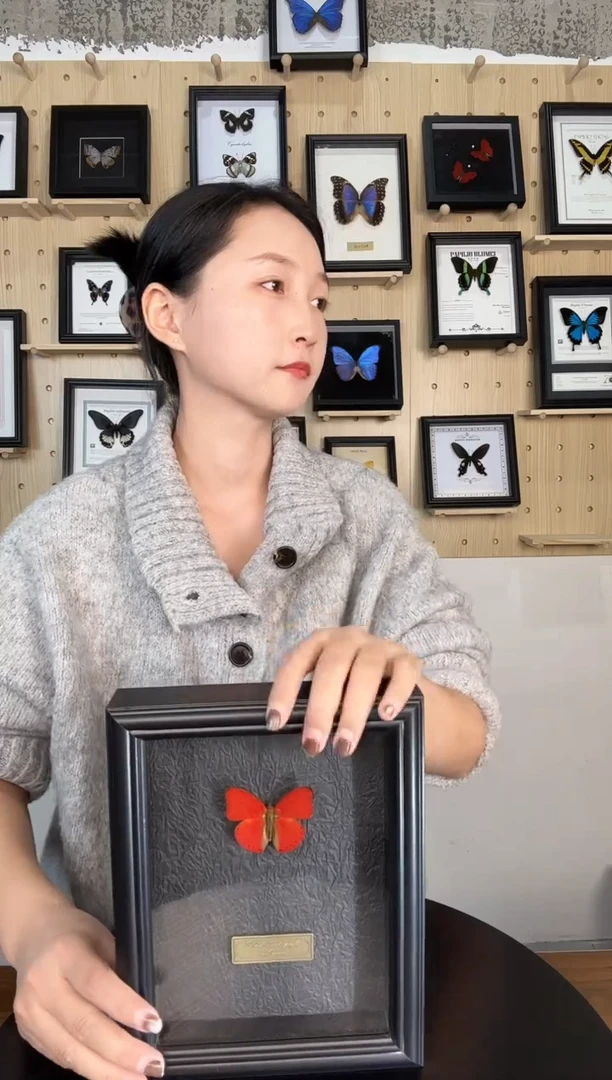血漪蛱蝶蝴蝶装饰画7寸框