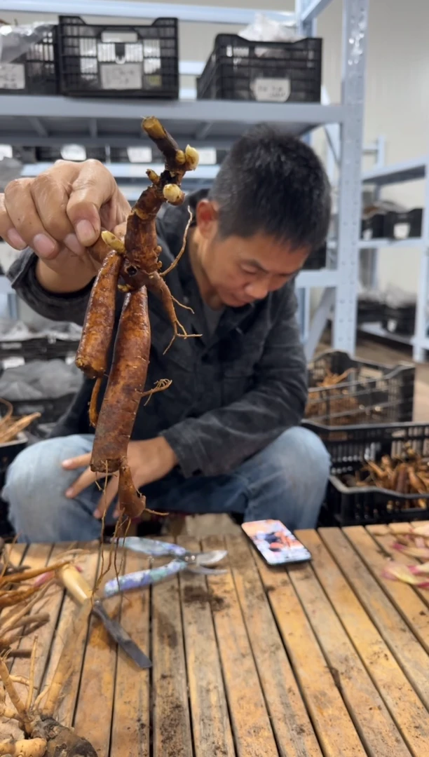 南***园南极牡丹园  35.8  御前表演