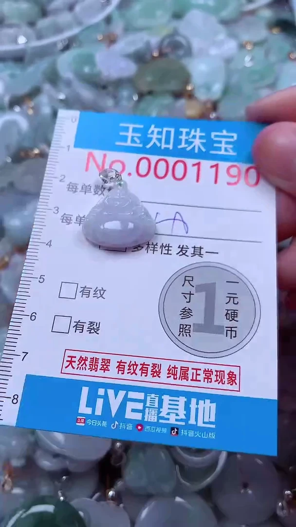 吊坠(不含链)未镶嵌翡翠1190