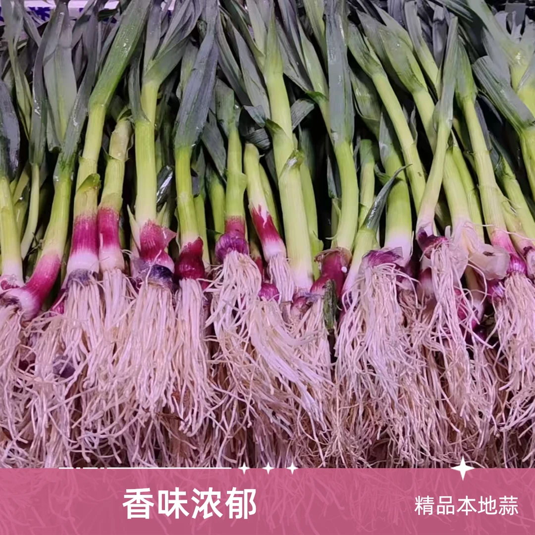 【精品】精品本地香蒜 300g