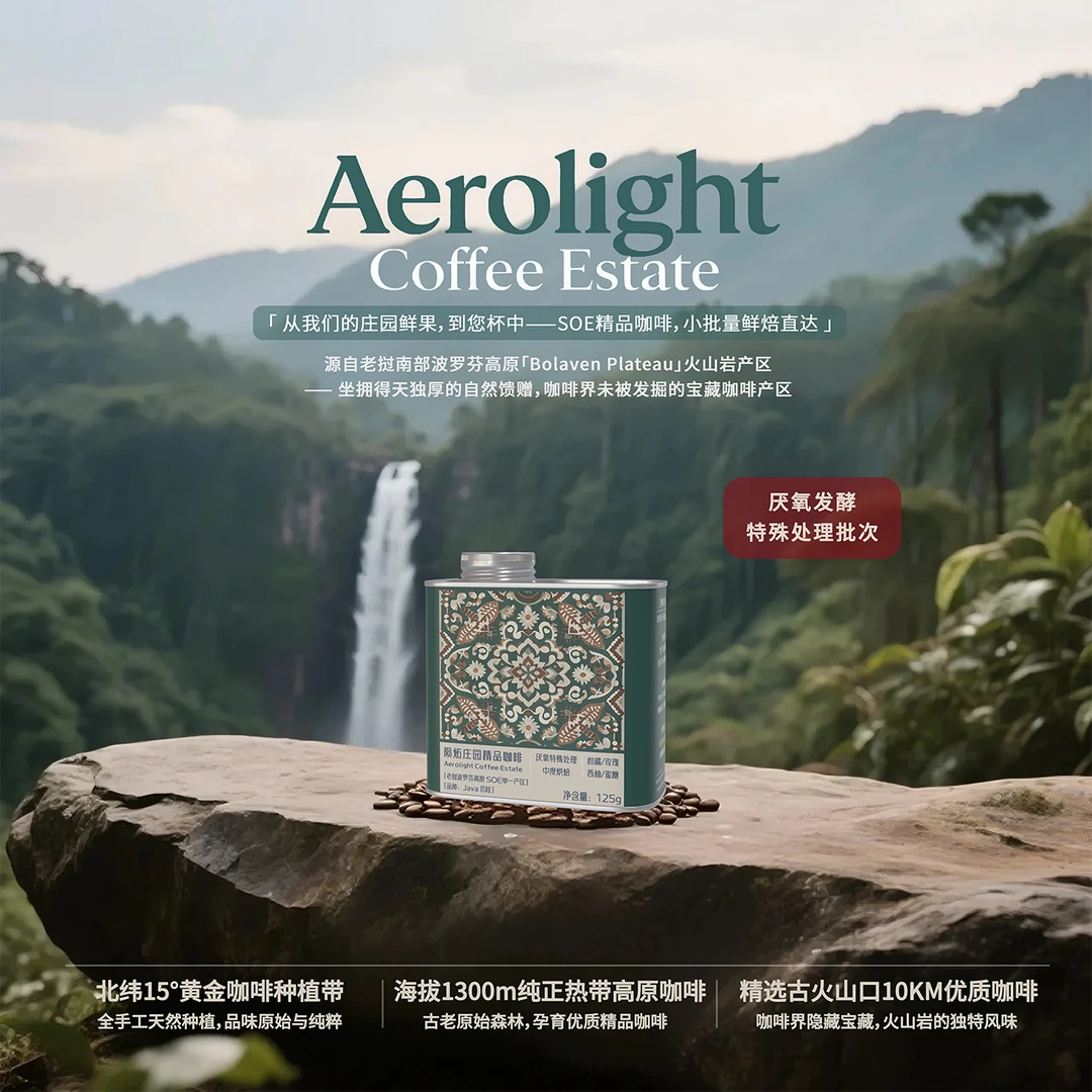 老挝陨炻庄园爪哇 Java 厌氧特殊处理-精品咖啡豆 冠军豆 125g