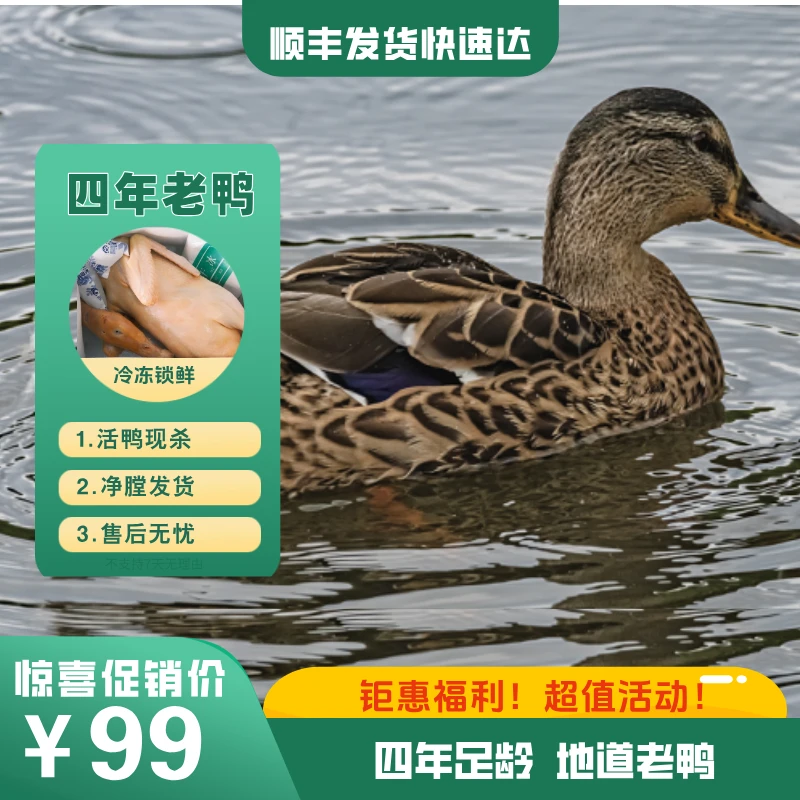 【四年老鸭】1只农村土养4年老鸭 足龄足重 净膛发货净重6.5斤 顺丰冷链直达