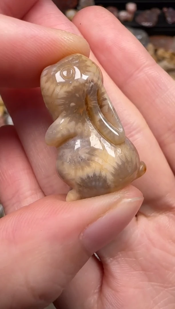 硅化珊瑚（珊瑚玉）未镶嵌颈饰667