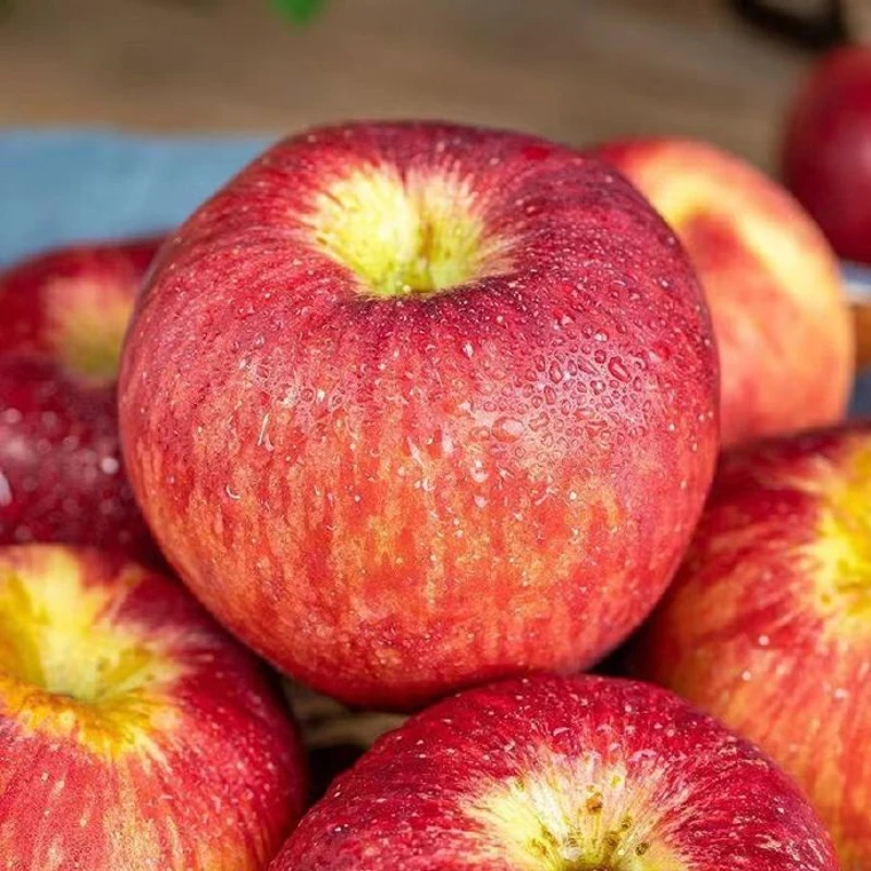 樱果西藏丑苹果 1500g±30g