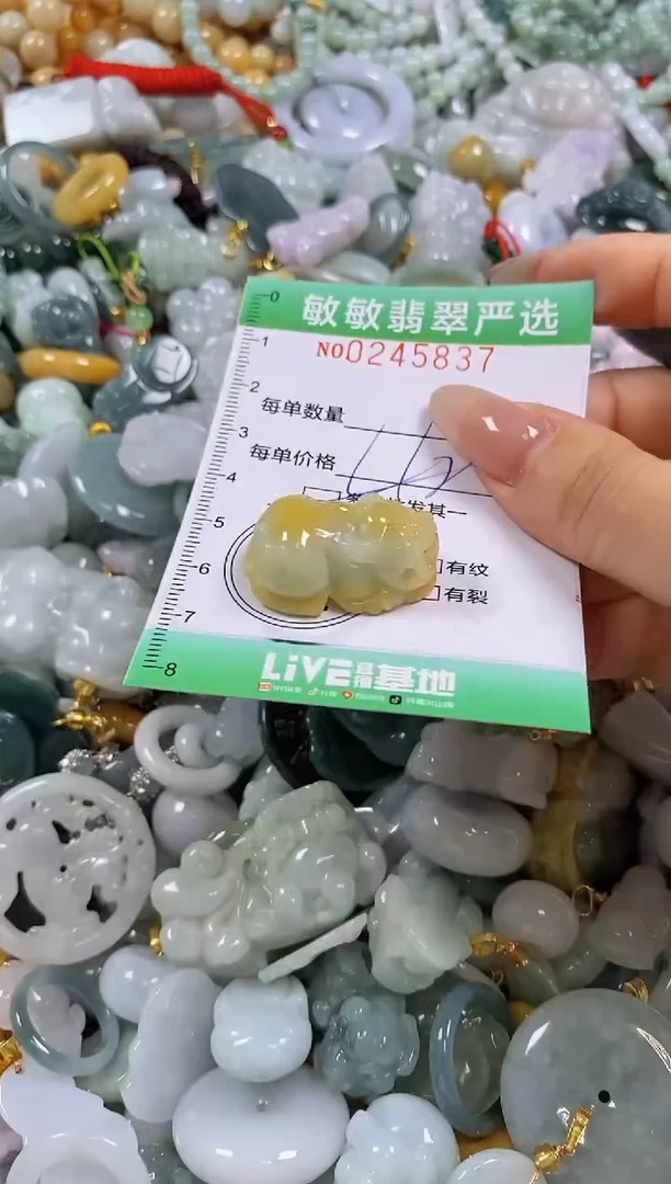 翡翠未镶嵌颈饰闪购0245837多样性发其一