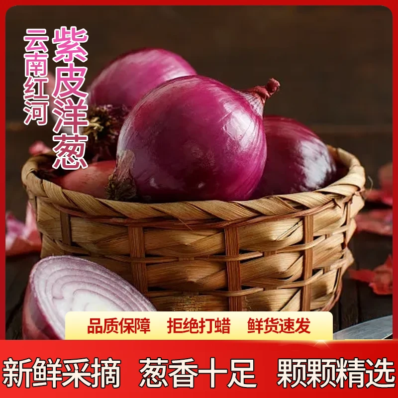 买5斤送5斤 新鲜紫皮洋葱带箱10斤（小果）炒菜凉拌生吃小圆葱农家