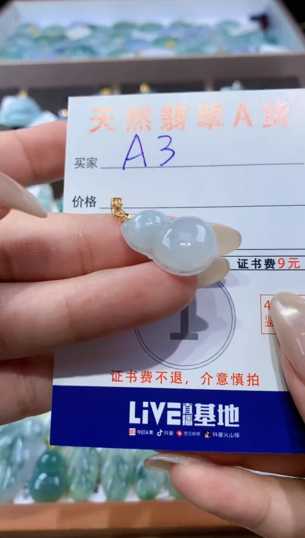 颈饰未镶嵌翡翠天然翡翠A货挂件