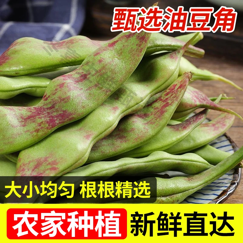 东北一点红油豆角九月青新鲜蔬菜现摘面豆角开锅烂紫花油豆角包邮