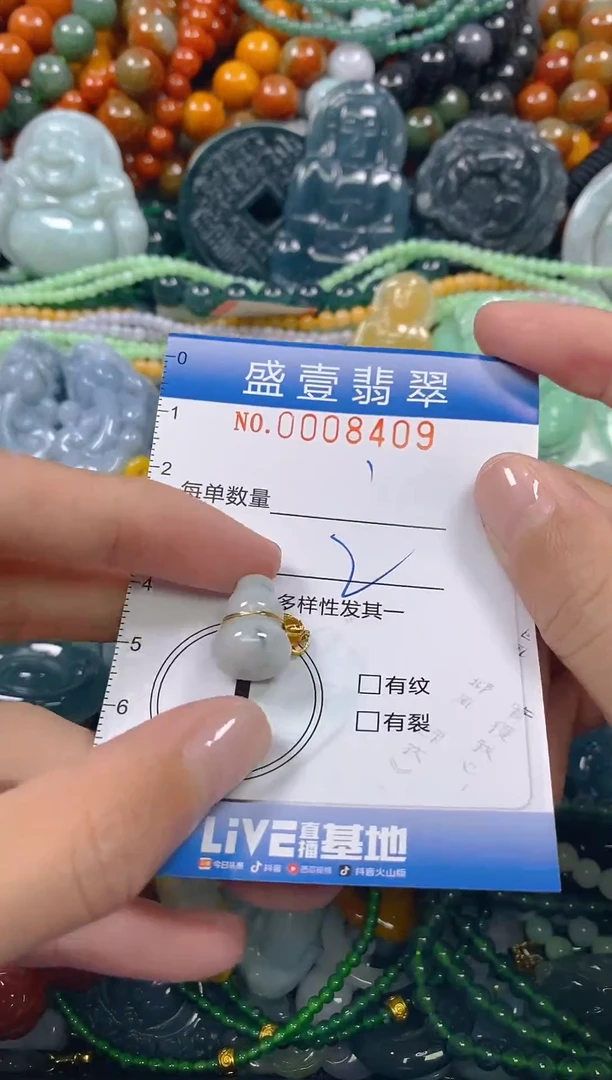 颈饰未镶嵌翡翠闪购0008409