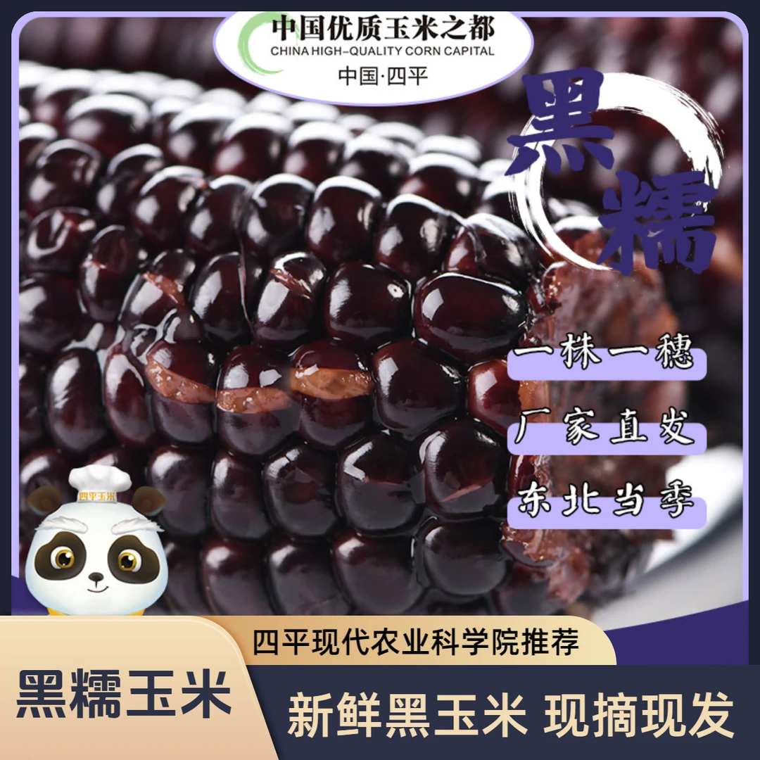 [天天南方专属]东北新鲜粘糯玉米拉丝黑糯玉米10棒/箱透明包装