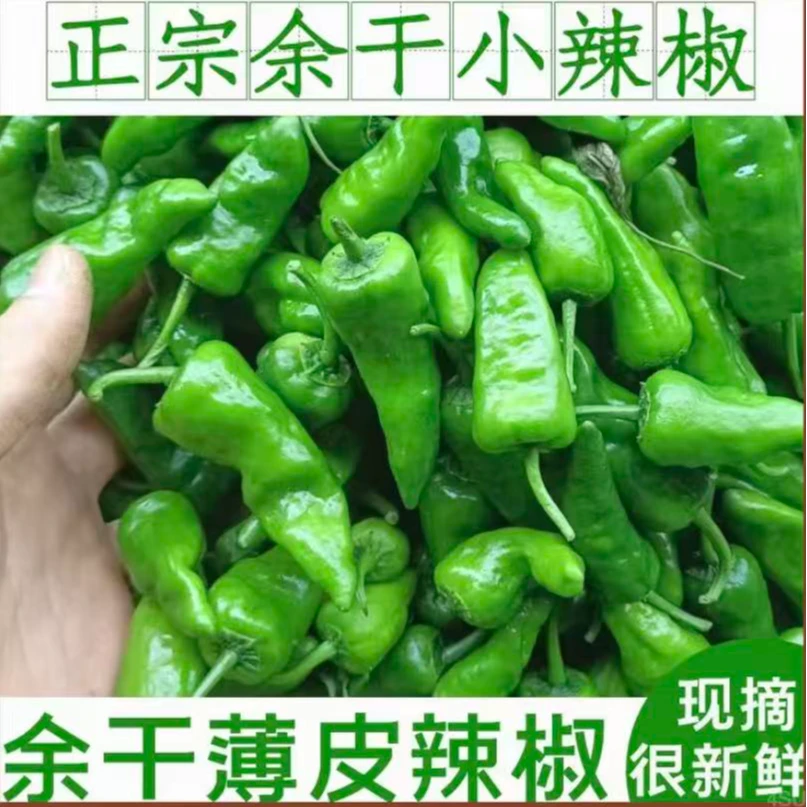 【农家自种】土辣椒新鲜采摘正宗余干小辣椒1/2/斤特辣薄皮余干辣椒