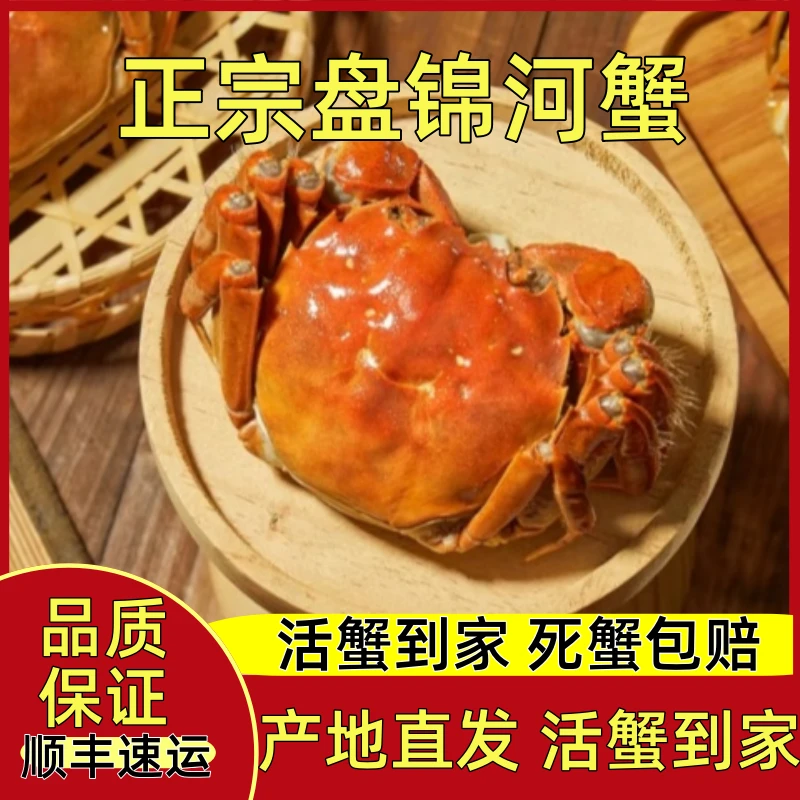 【活蟹】盘锦河蟹母蟹1-1.3两*18只顺丰包邮鲜活现发