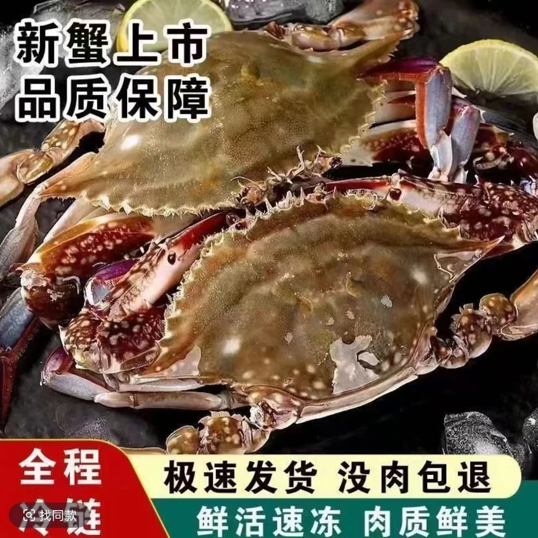JH【冻蟹】全母蟹连云港黄海野生梭子蟹3-5两/只净重4斤到手10-12只