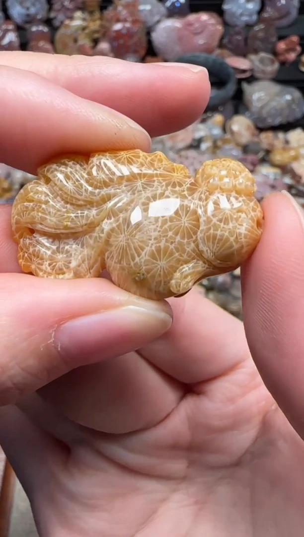颈饰未镶嵌硅化珊瑚（珊瑚玉）381