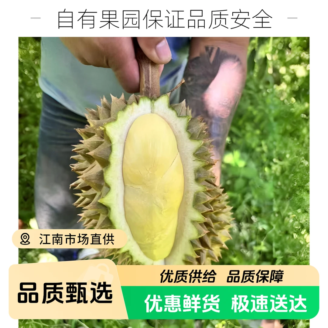【小象巴掌】（泰国南部金枕榴莲）空运树熟AA级新鲜整果自有果园KG核小香甜软糯榴莲巴掌榴莲泰国南部