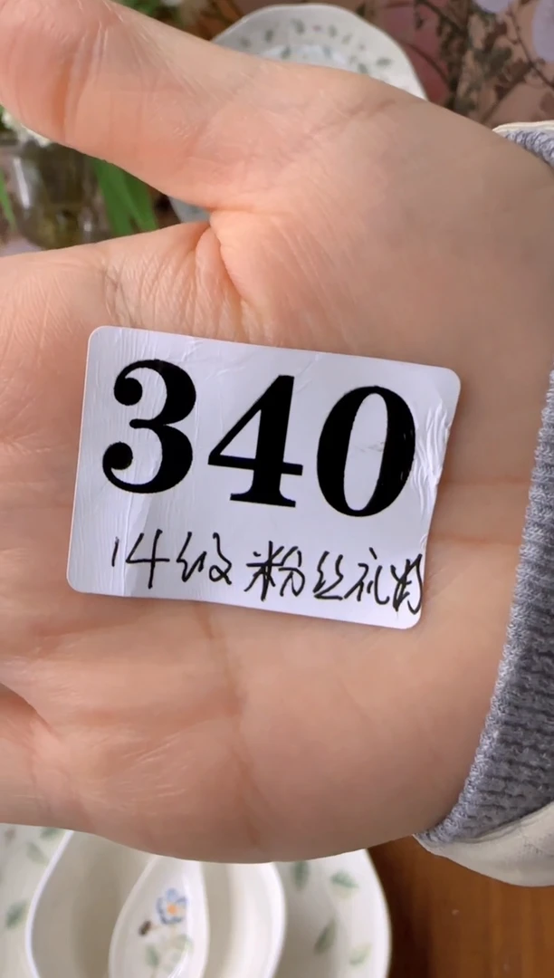 朱*力盘子瓷*************