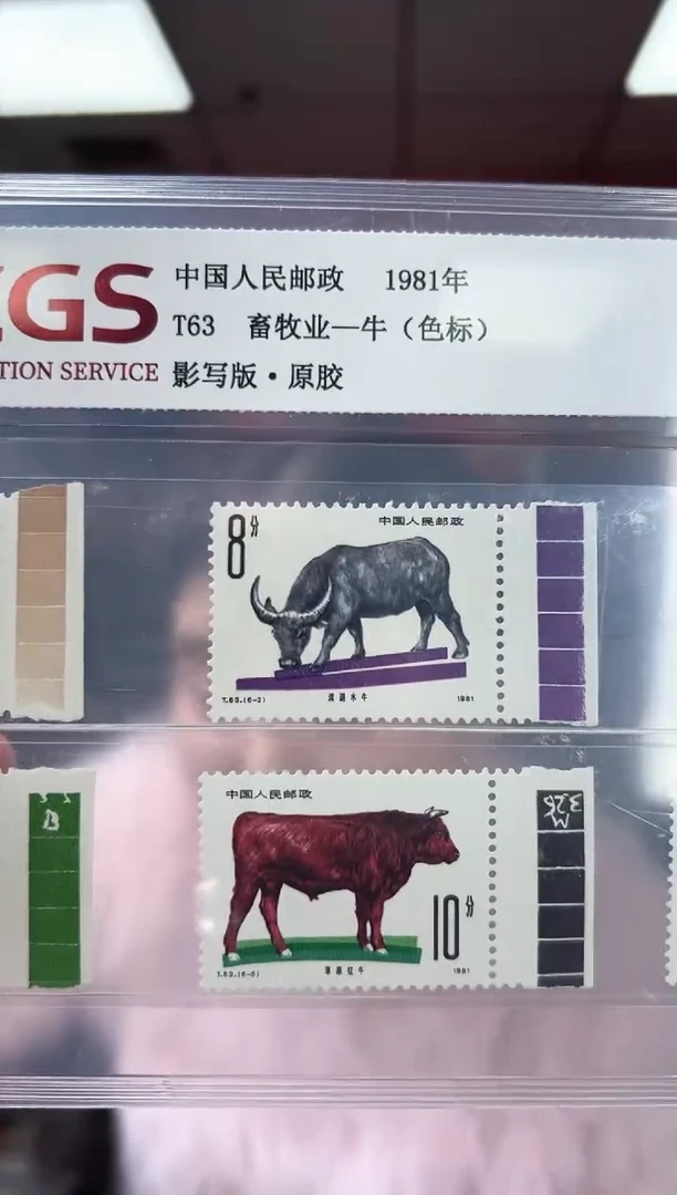 T63 畜牧业-牛 色标 套票 邮票 RCGS评级 原胶