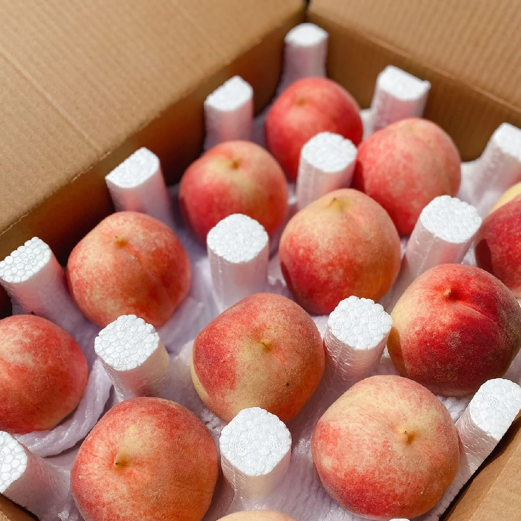 山东金秋红蜜水蜜桃新鲜现摘脆甜多汁当季水果整箱包邮