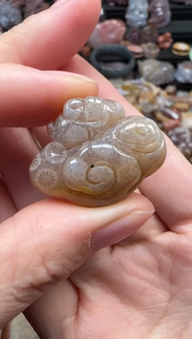 颈饰未镶嵌硅化珊瑚（珊瑚玉）670