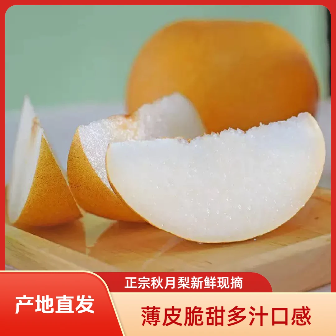 坏果包赔正宗秋月梨现摘现发产地直发脆甜多汁中秋送礼无渣