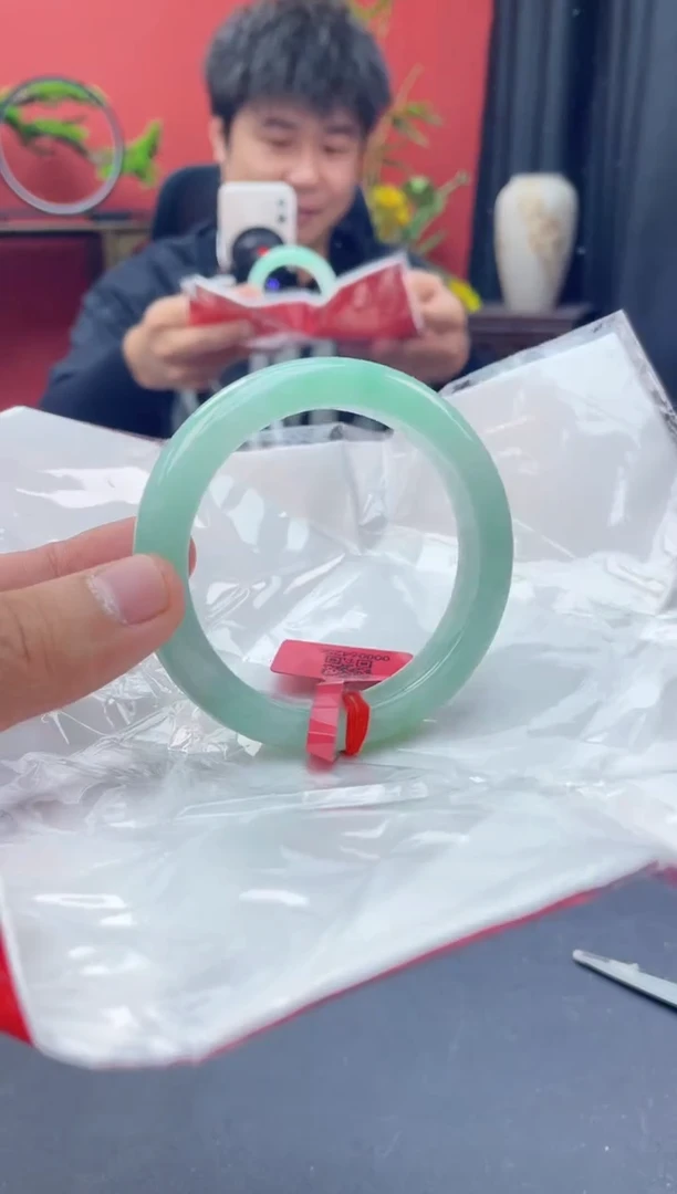 未镶嵌手镯翡翠14