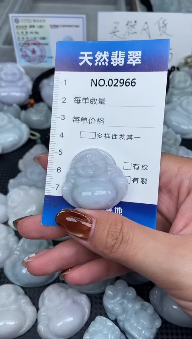 颈饰未镶嵌翡翠纯天然A货翡翠2966