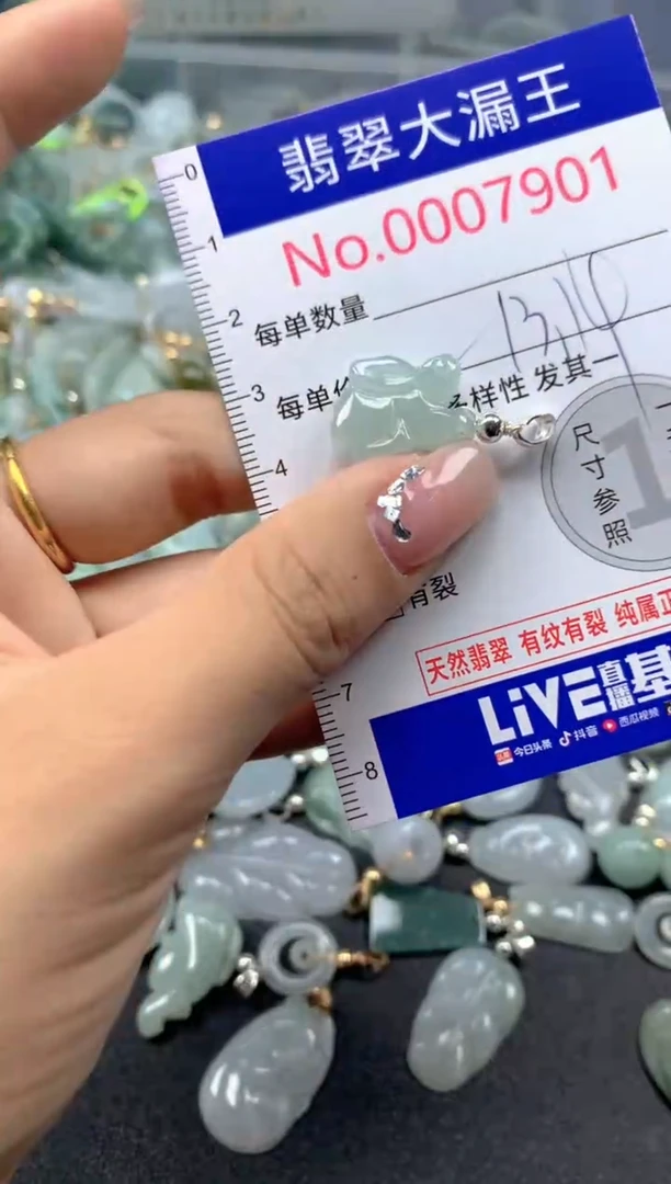 颈饰未镶嵌翡翠7901多样性