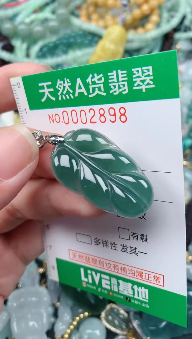 翡翠未镶嵌颈饰.0002898