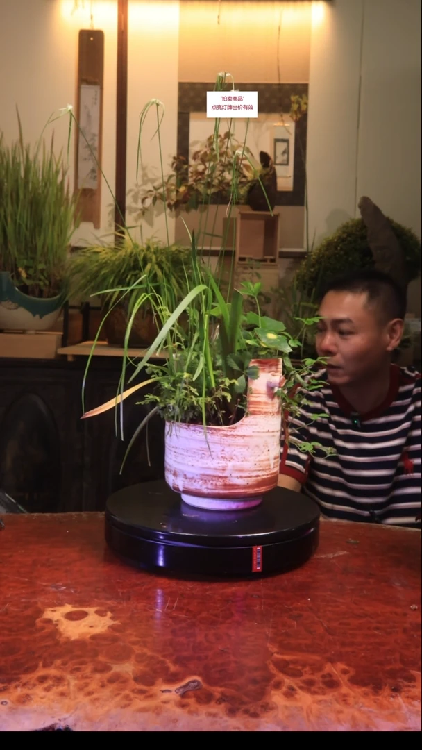 无花朵个人他不能引体