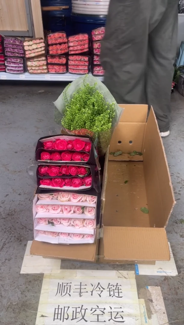 粉荔枝20枝+初心20枝+绿林草