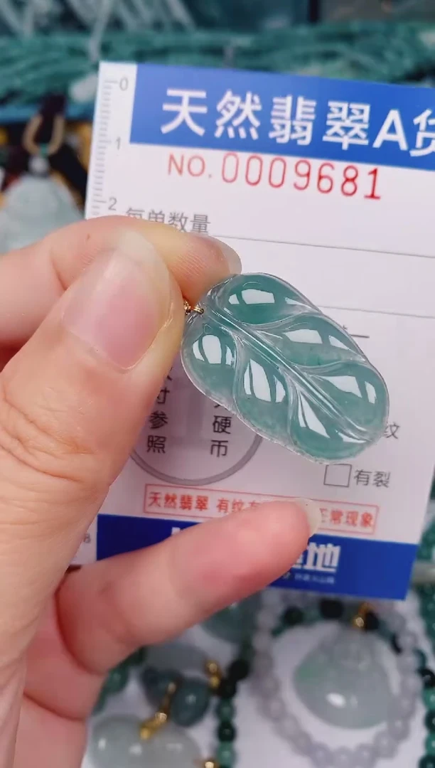 颈饰未镶嵌翡翠00009681