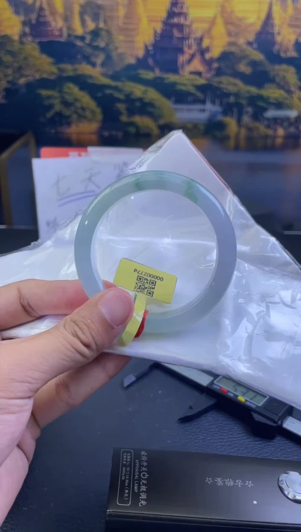 未镶嵌手镯翡翠10