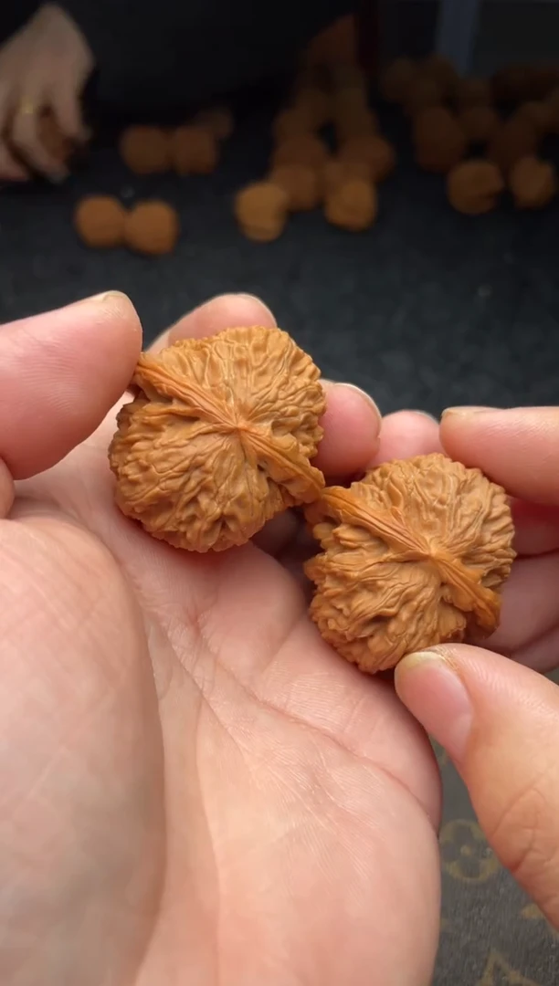 把件文玩核桃 B 80 号 39尺白狮子