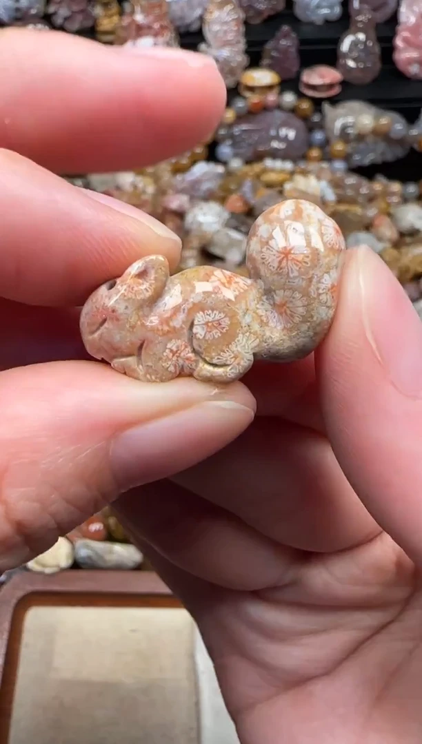 颈饰未镶嵌硅化珊瑚（珊瑚玉）548