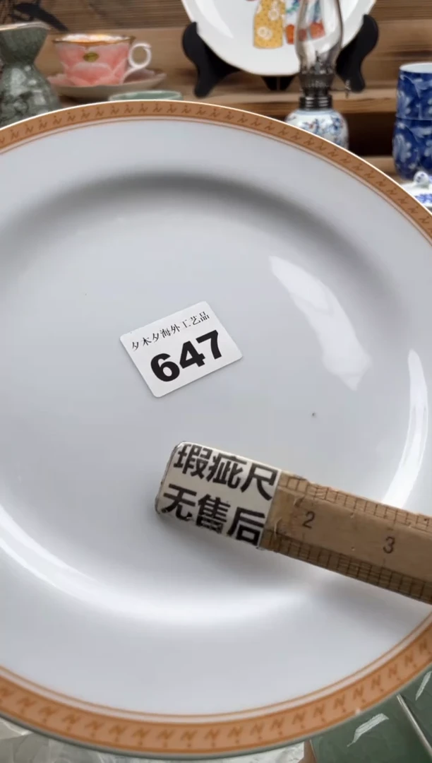 瓷片瓷器          647