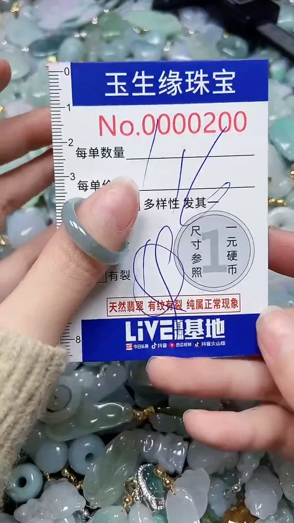 【闪购商品】翡翠颈饰未镶嵌闪购00000200