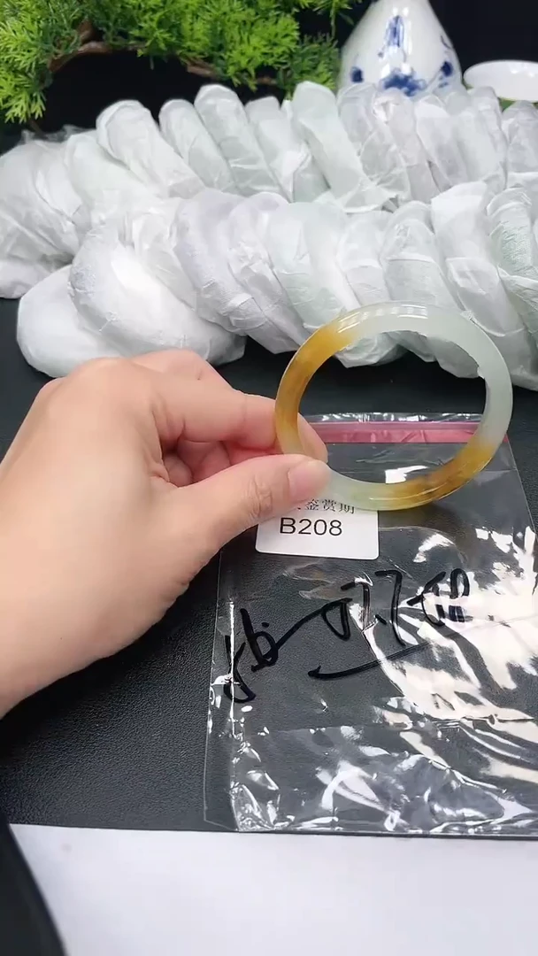 未镶嵌手镯翡翠208